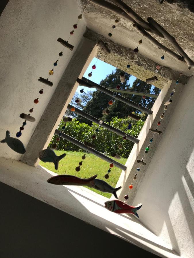 Appartement Giardini Magnolia à Belgirate Extérieur photo